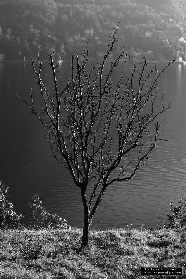 Appartamenti Monti Como Lake Брунате Экстерьер фото